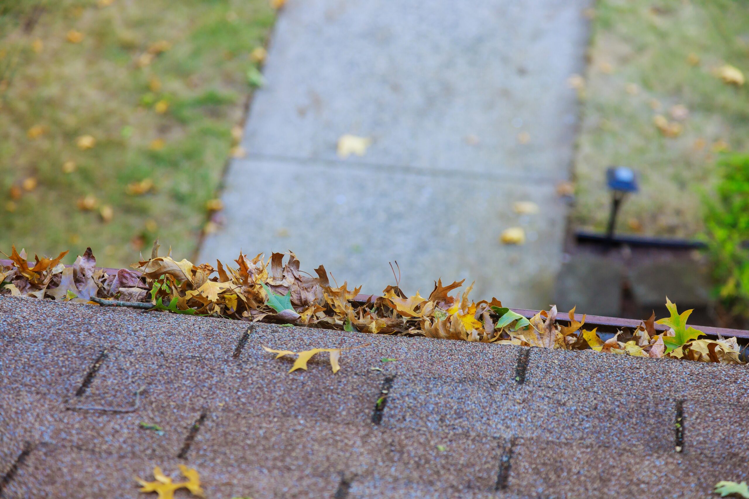 clogged gutters