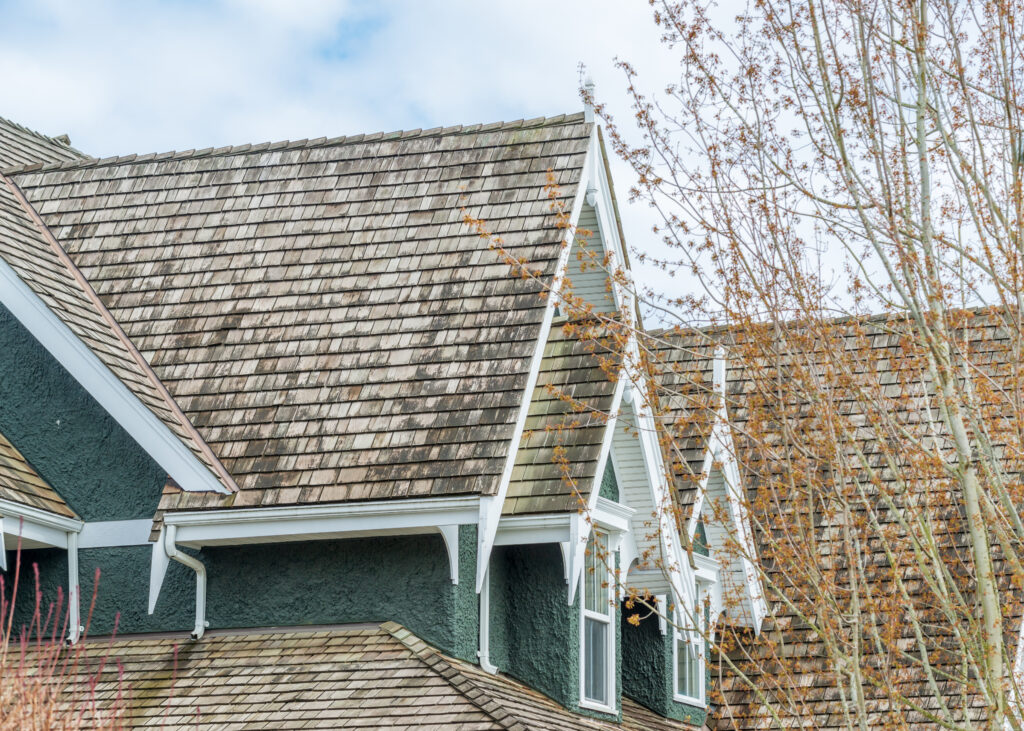 columbus ohio residential roof covered in algae